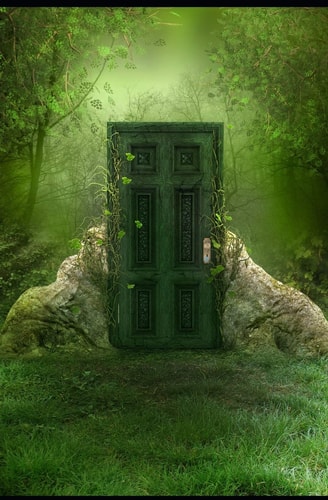 Through the Doors Altoria