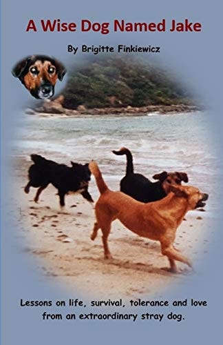 A Wise Dog Named Jake Lessons on Life, Survival, Tolerance and Love from an Extraordinary Stray Dog