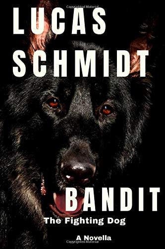 Bandit: the Fighting Dog