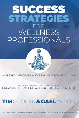 Success Strategies For Wellness Professionals Achieve Your Goals And Beat Your Money Blocks