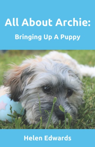 All About Archie Bringing Up A Puppy