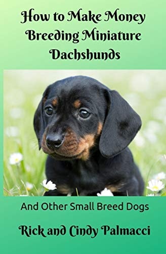 How to Make Money Breeding Miniature Dachshunds And Other Small Breed Dogs