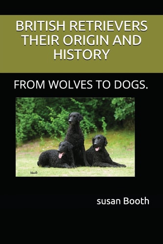 Retrievers Their Origin and History From Wolves to Dogs.