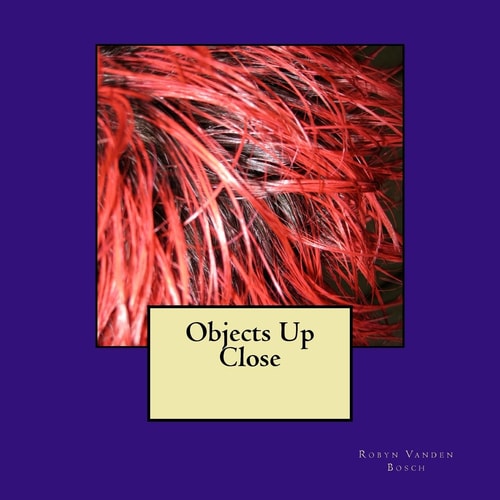 Objects Up Close