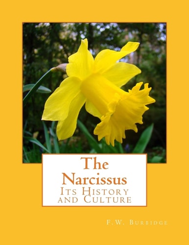 The Narcissus Its History and Culture