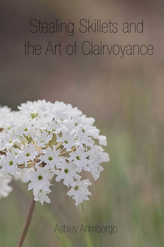 Stealing Skillets and the Art of Clairvoyance