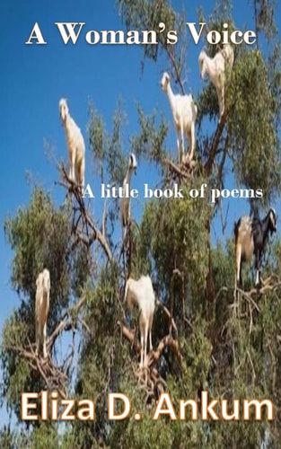 A Woman's Voice A Little Book of Poems