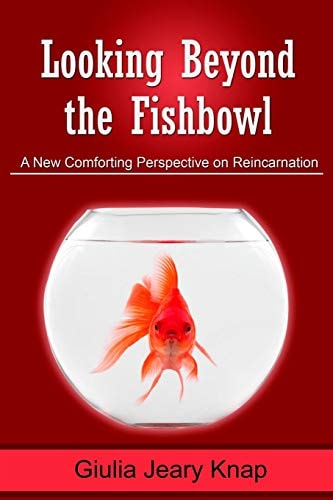 Looking Beyond the Fishbowl A New Comforting Perspective on Reincarnation