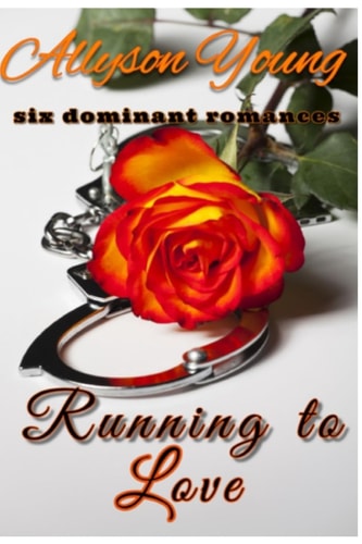 Running to Love The Series