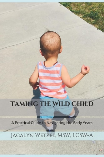 Taming the Wild Child A Practical Guide to Navigating the Early Years