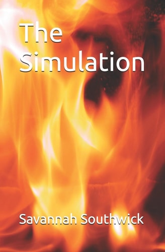 The Simulation