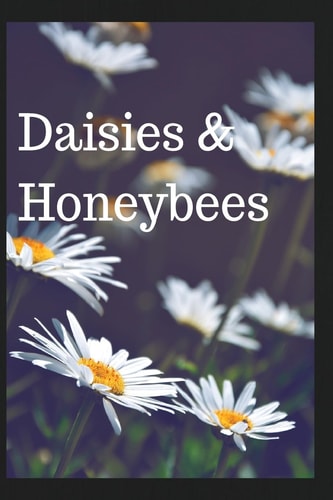 Daisies & Honeybees