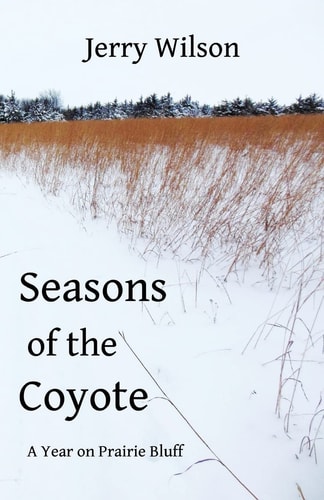 Seasons of the Coyote A Year on Prairie Bluff