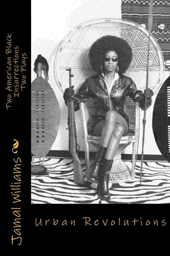 Urban Revolutions Two American Black Insurrections