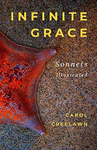 Infinite Grace Sonnets, Illustrated