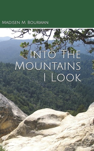 Into The Mountains I Look