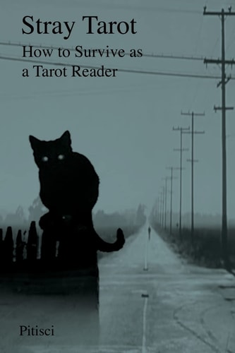Stray Tarot How to Survive As a Tarot Reader