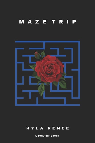 Maze Trip