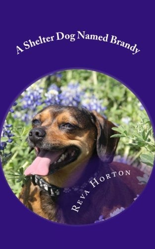 A Shelter Dog Named Brandy