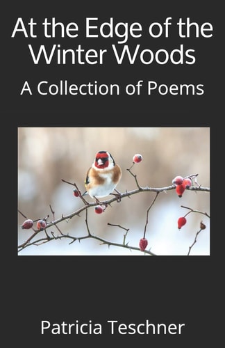 At the Edge of the Winter Woods A Collection of Poems