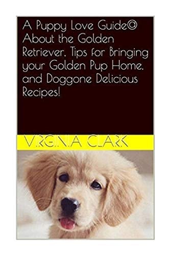 A Puppy Love Guide@ About the Golden Retriever, Tips for Bringing Your Golden Pu