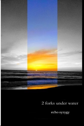 2 Forks Under Water