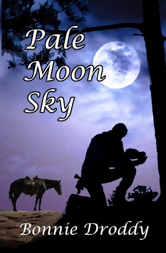 Pale Moon Sky