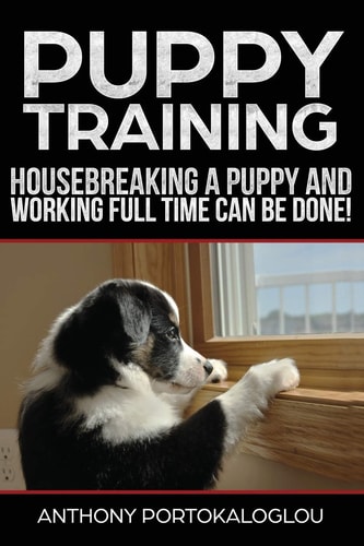 Puppy Training3 Housebreaking a Puppy and Working Full Time CAN Be Done