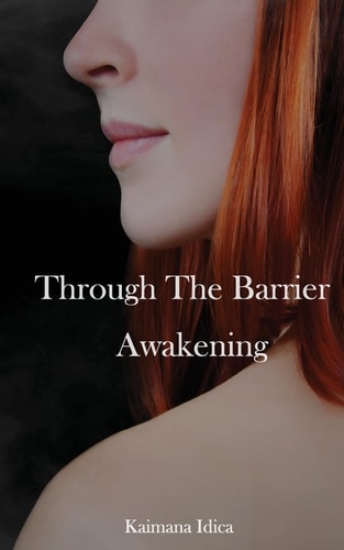 Through the Barrier Awakening