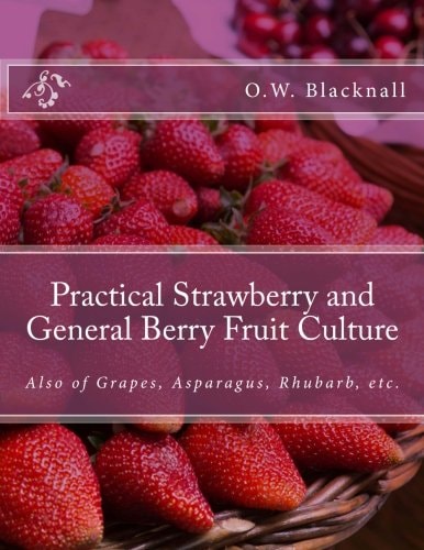 Practical Strawberry and General Berry Fruit Culture Also of Grapes, Asparagus, Rhubarb, Etc.