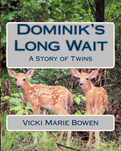 Dominik's Long Wait A Story of Twins