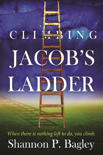 Climbing Jacob's Ladder When There Is Nothing Left to Do, You Climb