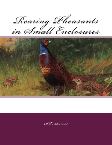 Rearing Pheasants in Small Enclosures