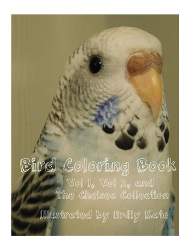 Bird Coloring Book Vol 1, Vol 2, and "The Chelsea Collection"