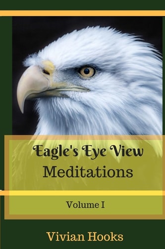 Eagle`s Eye View Meditations