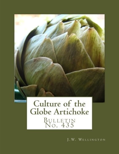 Culture of the Globe Artichoke Bulletin No. 435