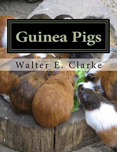Guinea Pigs A Practical Treatise on Their Breeding, Feeding and Management of Cavies
