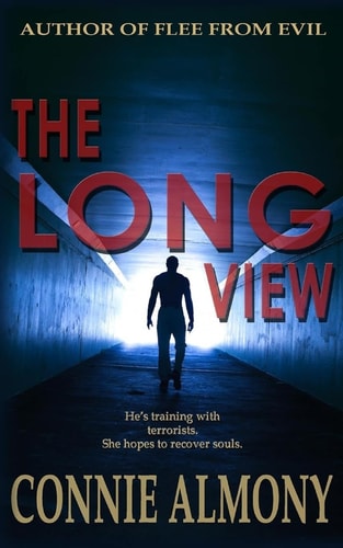 The Long View A Contemporary Christian Romantic Suspense Thriller
