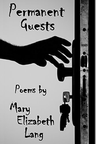 Permanent Guests Poems