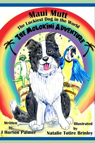 Maui Mutt The Molokini Adventure