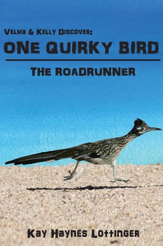 One Quirky Bird The Roadrunner