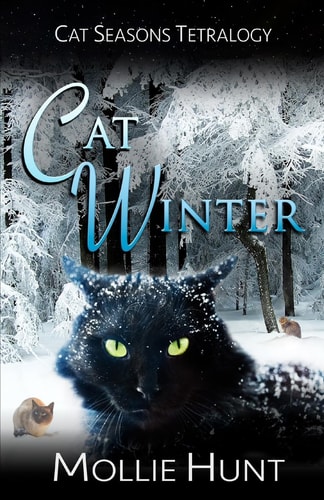 Cat Winter