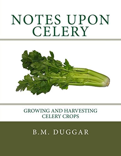 Notes Upon Celery Growing and Harvesting Celery Crops