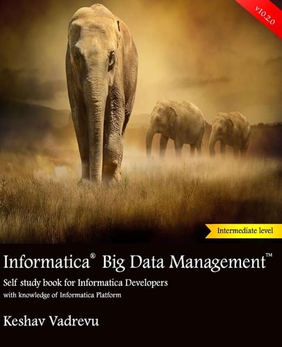 Informatica Big Data Management Self Study Book for Informatica Developers