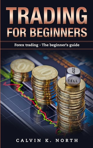 Trading For Beginners Forex Trading: The Beginner's Guide (Forex, Forex for Beginners, Make Money Online, Currency Trading, Foreign Exchange, Trading Strategies, Day Trading)