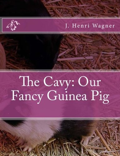 The Cavy Our Fancy Guinea Pig