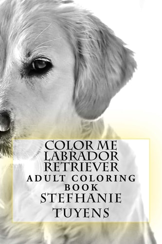Color Me Labrador Retriever