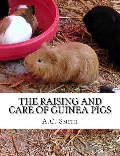 The Raising and Care of Guinea Pigs A Complete Guide to the Breeding and Exhibiting of Domestic Cavies