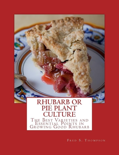 Rhubarb Or Pie Plant Culture The Best Varieties of Essential Points in Growing Good Rhubarb