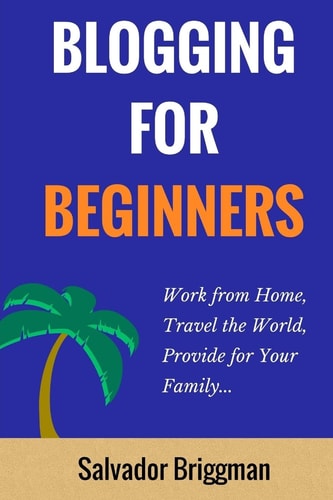 Blogging For Beginners Work from Home, Travel the World, Provide for Your Family